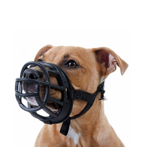 Collar Reflectante